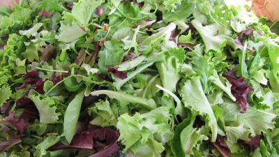 Mesclun
