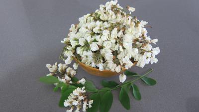 Fleurs d'acacia