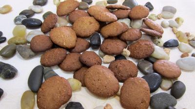 Croquants aux noisettes sans gluten