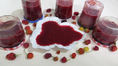 Coulis de fruits rouges (conserves)