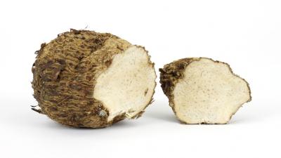 Malanga