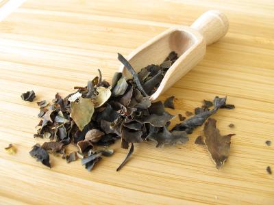 Fucus vésiculeux