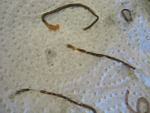 Crevettes au curcuma - 4.3