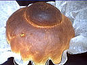 Brioche fine - 15.2