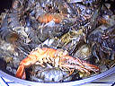 Gambas flambées - 6.1