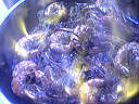 Gambas flambées - 7.2