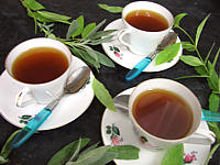 Image : Grog à la sauge et à l'armagnac