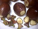 Dinde aux figues et au munster - 5.1