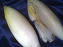 Endives farcies - 2.1