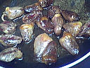 Crêpes farcies aux coeurs de dinde - 12.1