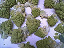 Chou romanesco aux noisettes - 2.2