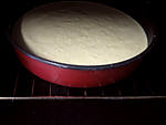 Flan aux raisins muscat - 8.2