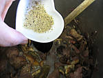 Coeur de veau aux morilles - 10.1