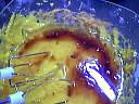 Cake aux olives - 4.2