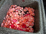 Gelée de roses - 3.1