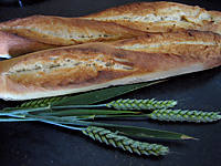 Image : Baguettes de pain