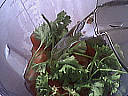 Boisson tomates santé - 2.2