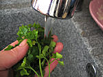 Contre-filets sauce moutarde et champignons - 2.1