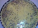 Clafoutis aux myrtilles - 4.2