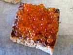 Canapés aux oeufs de truite - 4.2
