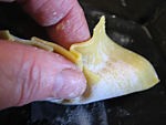 Dim sum de boeuf en amuse-bouche - 13.3