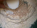 Cake aux noix - 3.3