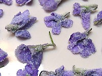 Image : recette Fleurs cristallisées
