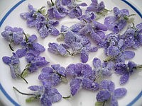 Image : Fleurs cristallisées