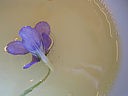 Fleurs cristallisées - 3.2