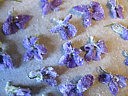 Fleurs cristallisées - 4.3
