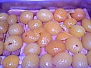 Crème de noix aux abricots - 9.2