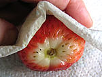 Confiture de poires et fraises - 6.1