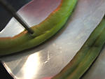 Foie de veau aux haricots verts - 2.2