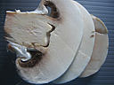 Fumet de champignons - 3.2