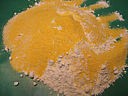 Galette de polenta - 1.1