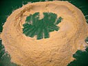Galette de polenta - 1.2