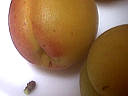 Couronne de riz aux abricots - 5.2