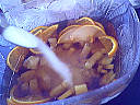 Cocktail ananas - 6.3