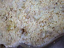 Crumble aux prunes - 7.2