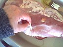 Gigot d'agneau aux herbes - 2.1