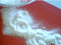 Image : Bicarbonate