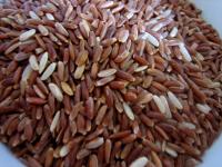 Riz