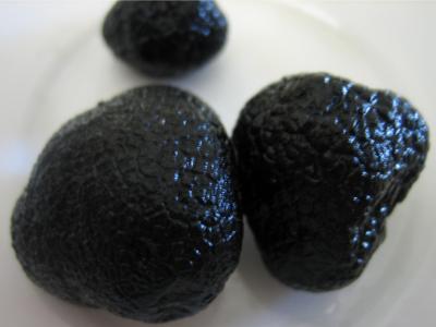 Photo : Truffe