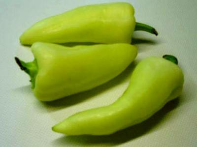 Paprika