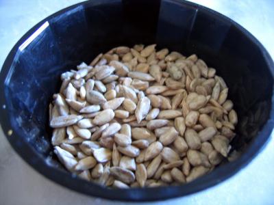 Image : Graines de tournesol  - Graines de tournesol