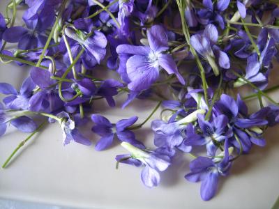 Image : Violette - violettes