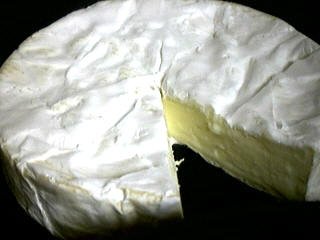 Photo : fromage coulommier