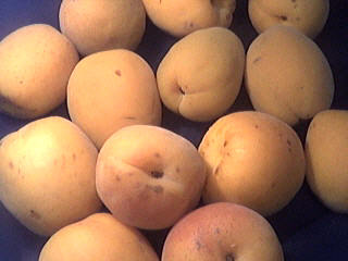 Cooking page: Apricot