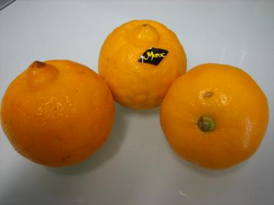Image : Bergamote - 3 bergamotes