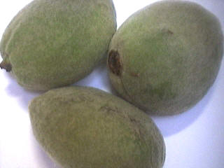 Amande (amandier)